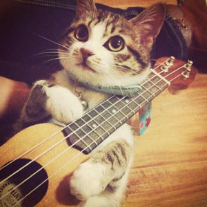 亚洲精品️无码一区二
